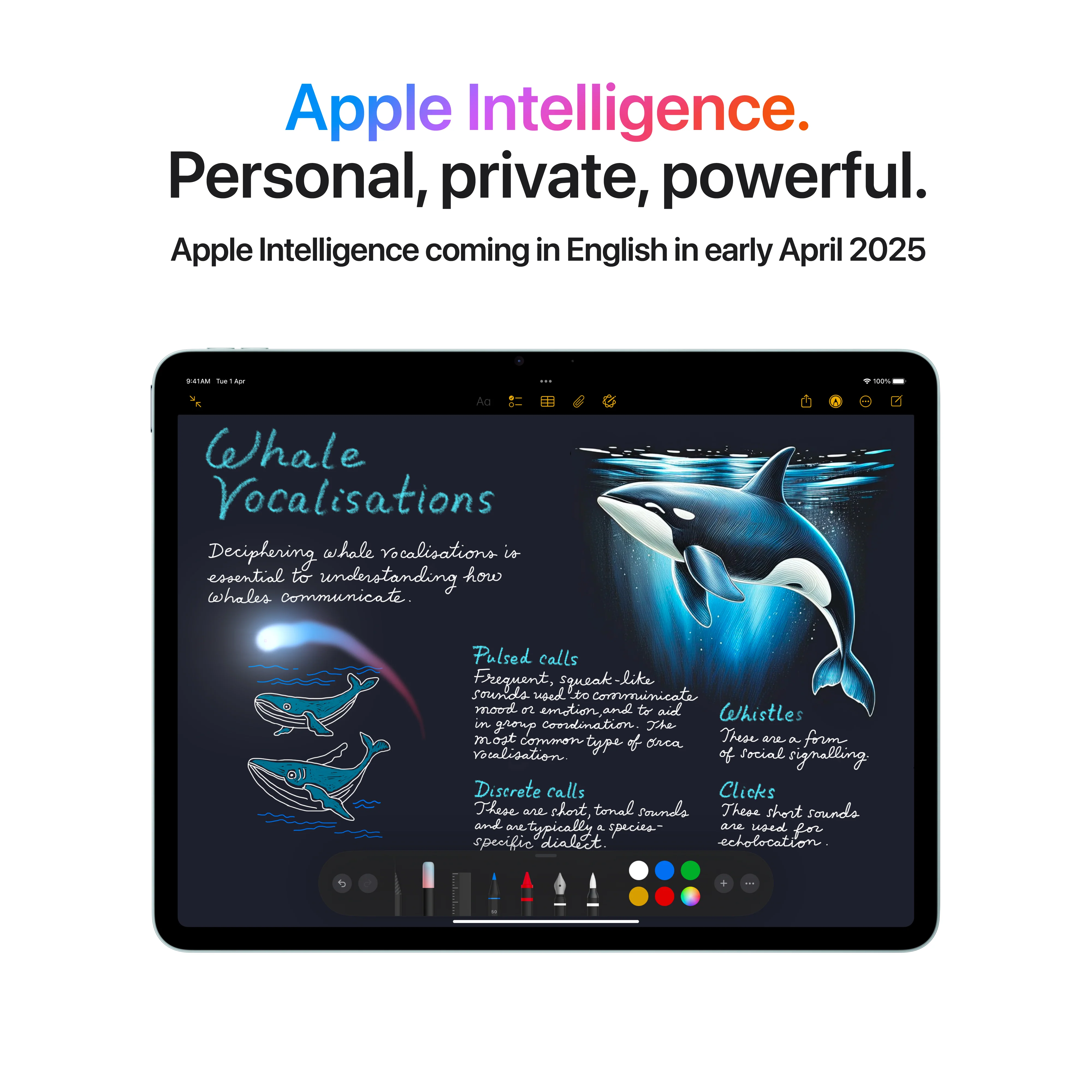 11-inch iPad Air Wi-Fi 1TB - Blue (M3) - Image 5