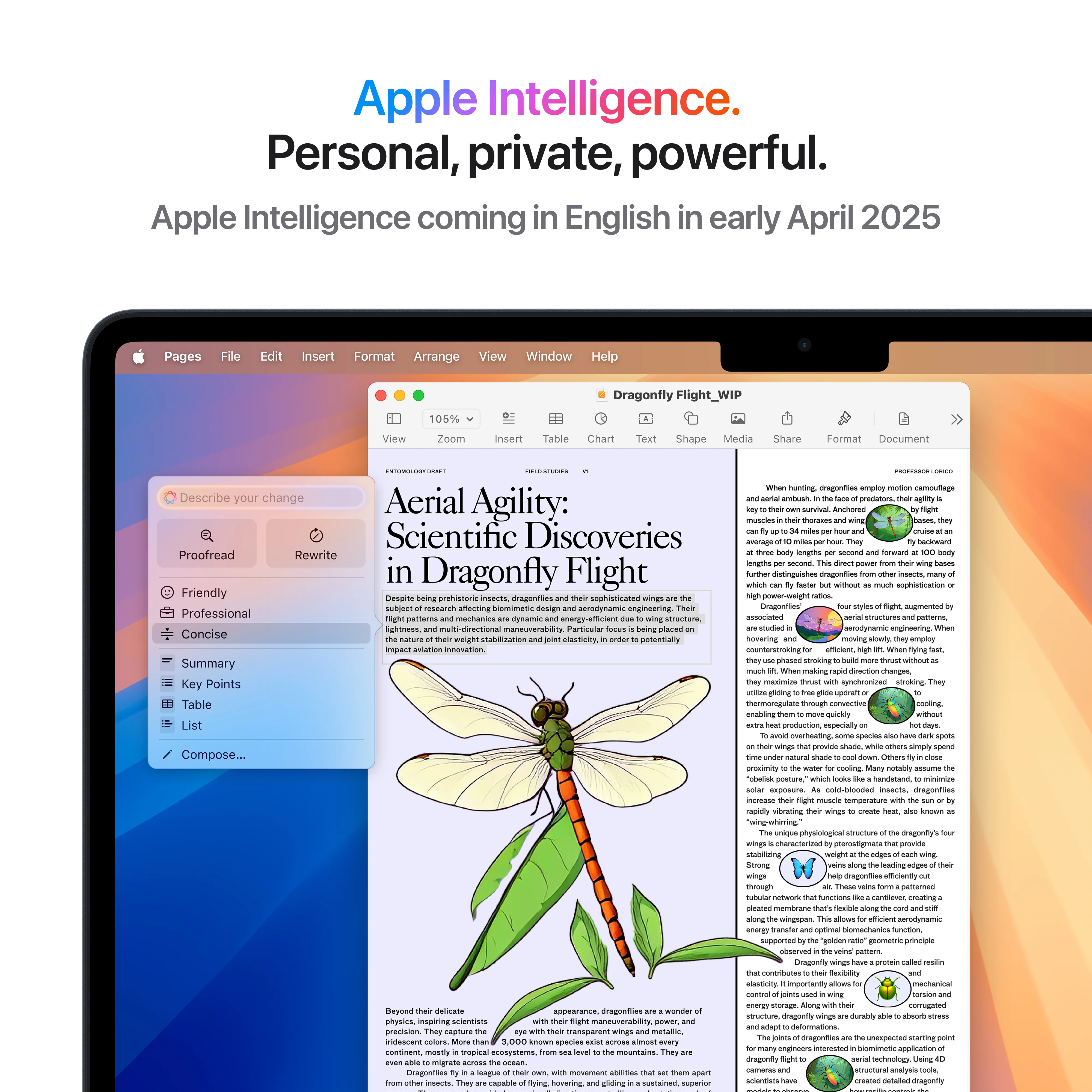 13-inch MacBook Air: Apple M4 chip with 10-core CPU and 10-core GPU, 512GB SSD - Midnight - Image 6