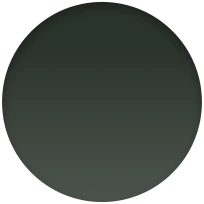 45mm Sequoia Green Leather Link - S/M - Image 4