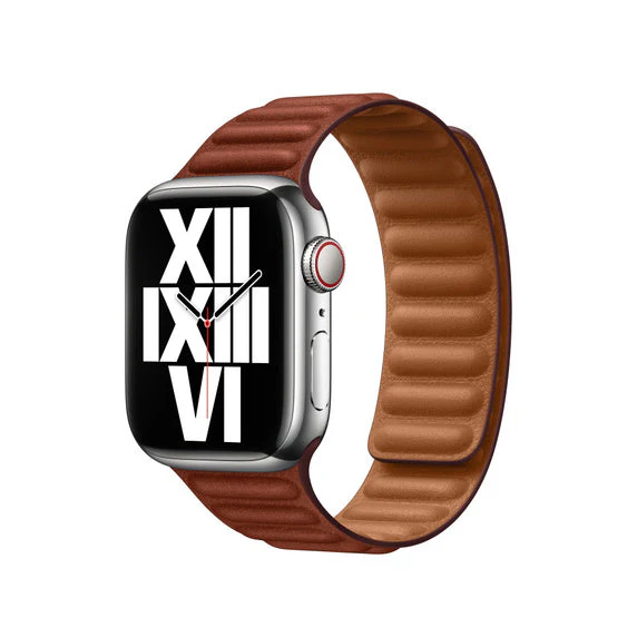 Apple 41mm Leather Link - M/L - Image 2