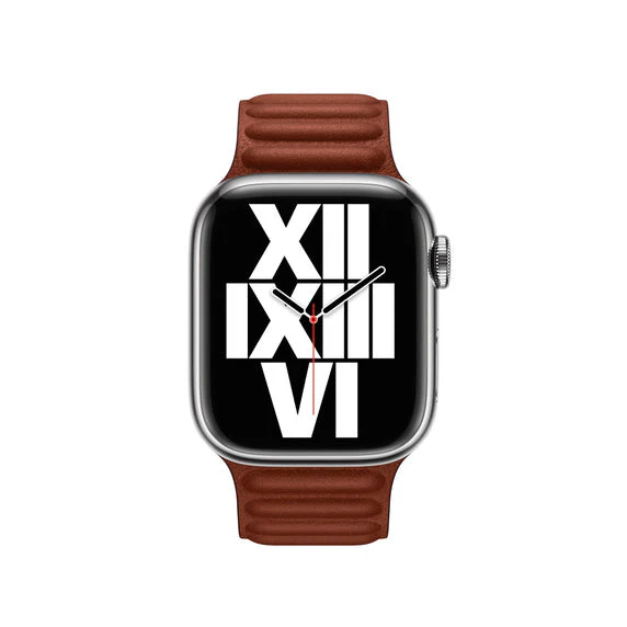 Apple 41mm Leather Link - S/M - Image 3