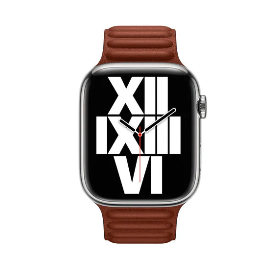 Apple 41mm Leather Link - S/M - Image 9