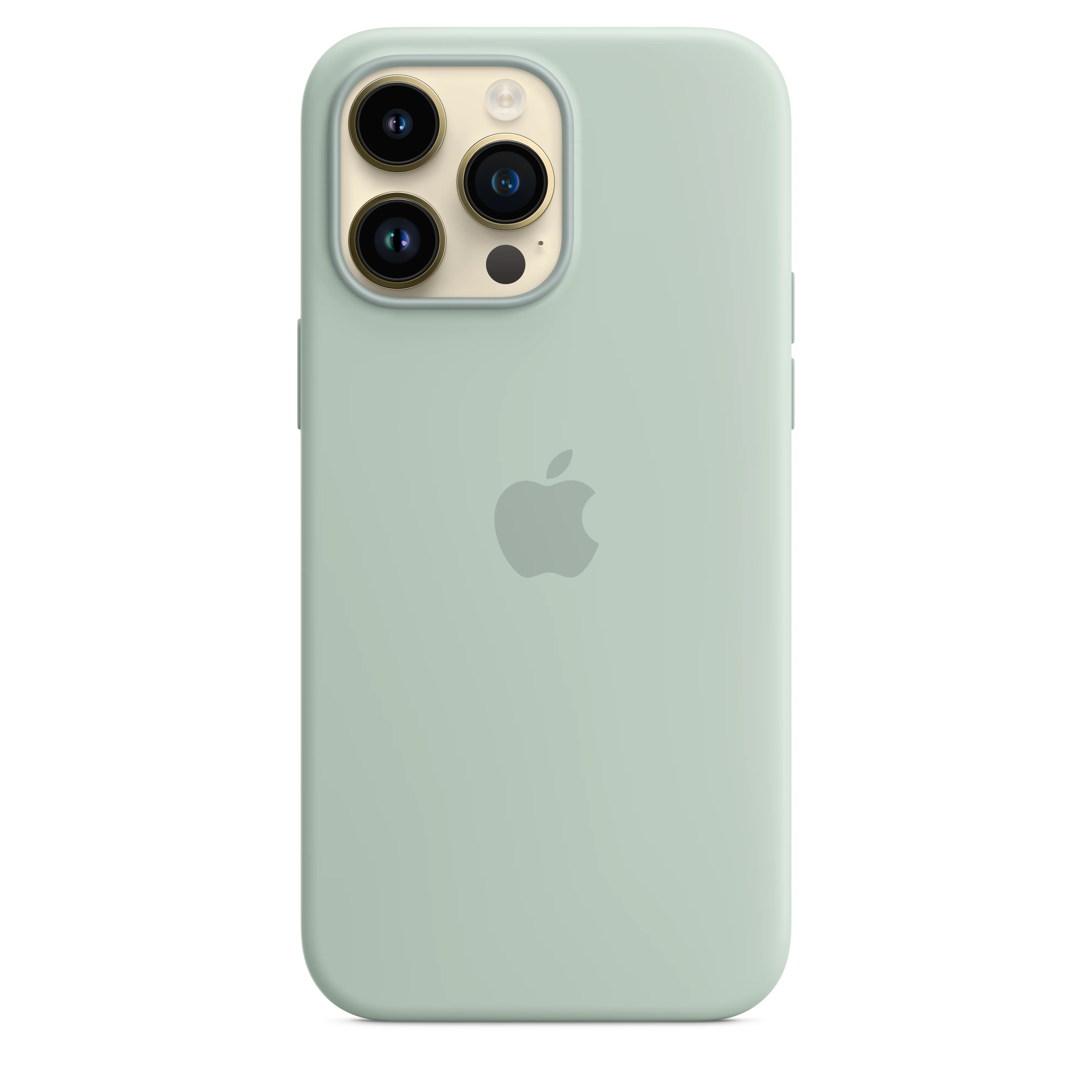 iPhone 14 Pro Max Silicone Case with MagSafe - Succulent - Image 2