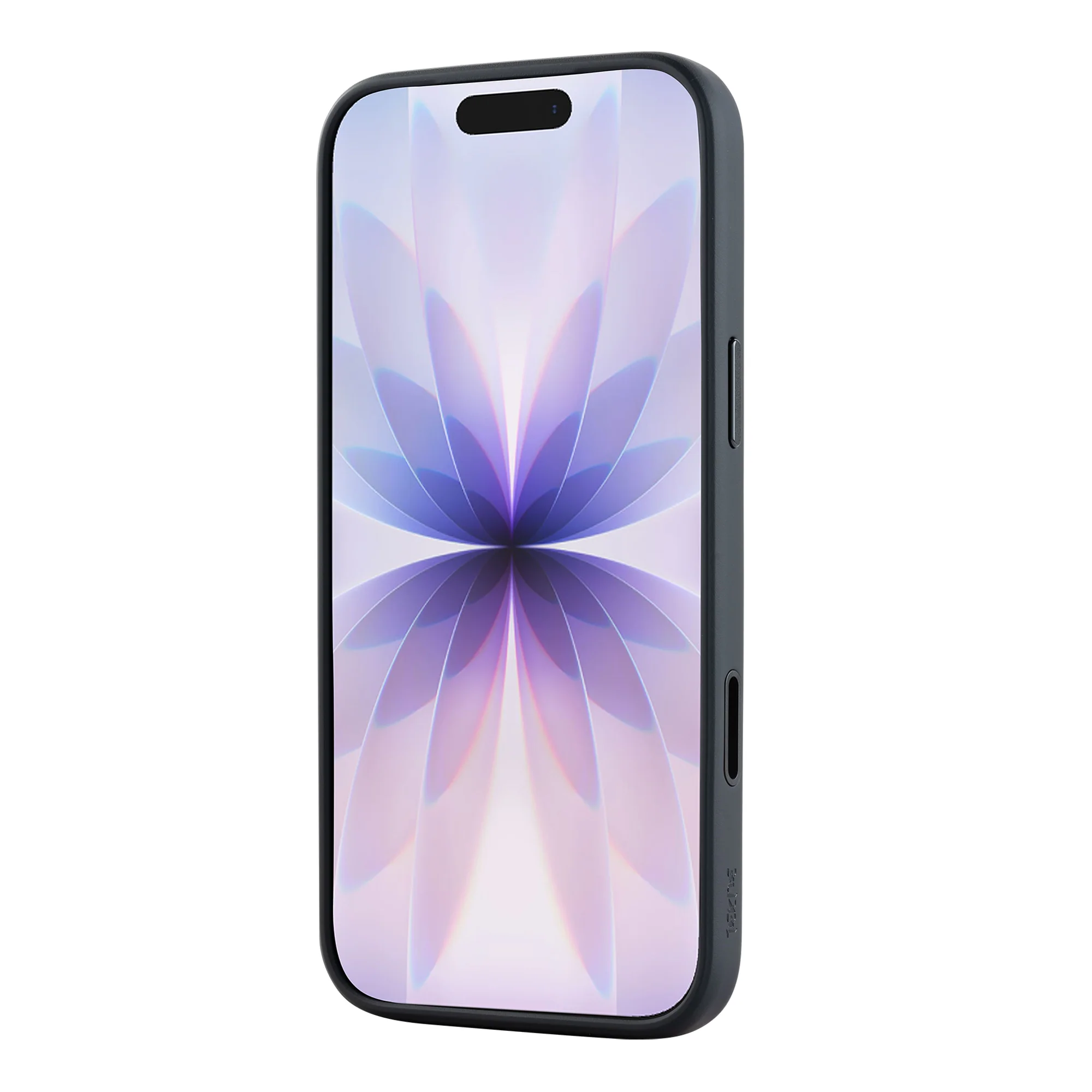 TEKNE Hybrid Frost Matte case   for iPhone 17 Pro Max-Black - Image 2